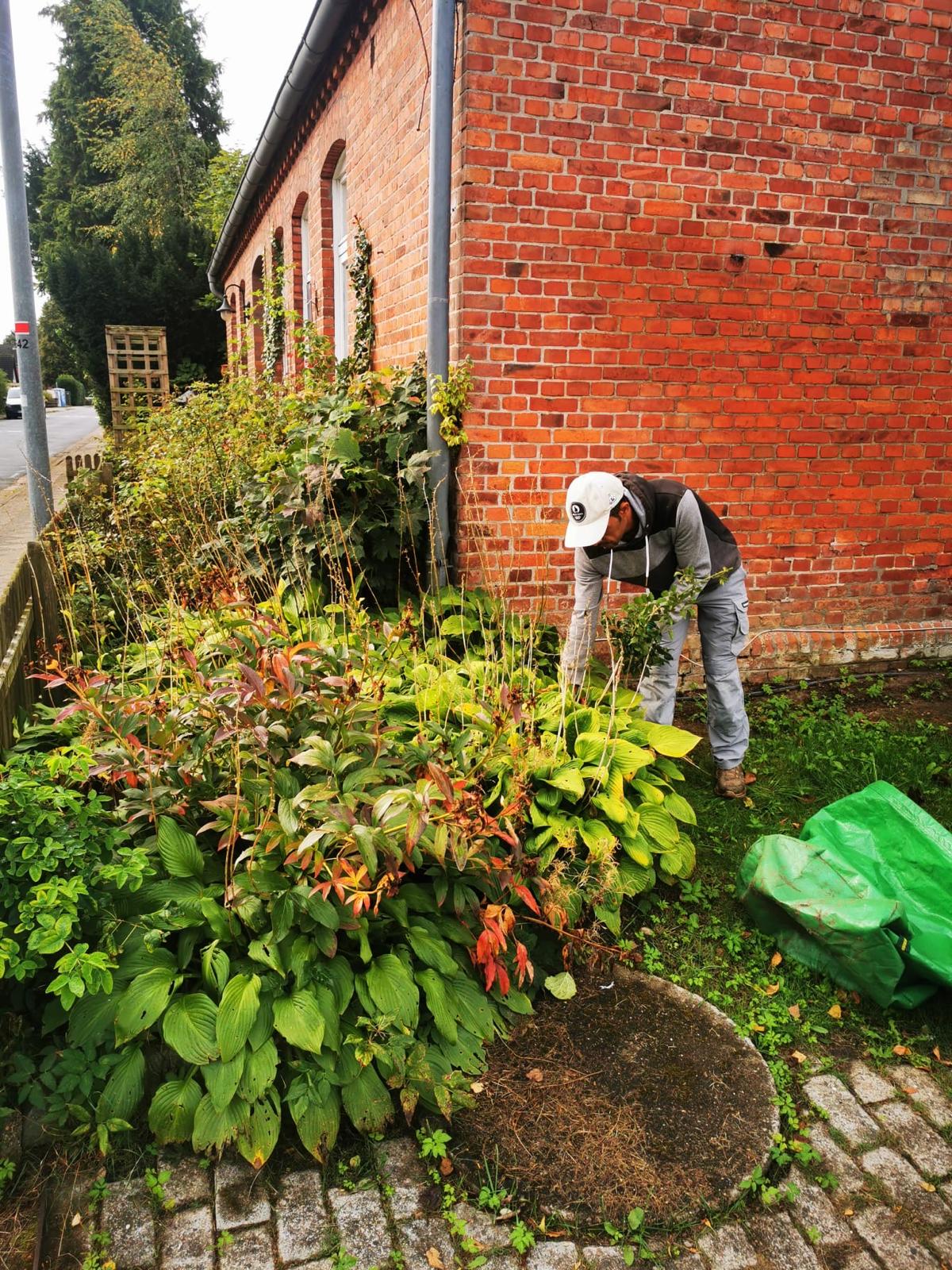 Gartner -Gartenpflege in Ihrer Nähe